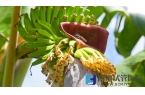 上海能做供卵試管的醫院有哪些 上海私立的